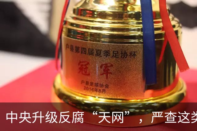 中央升级反腐“天网”，严查这类问题，查到一起处分一起！