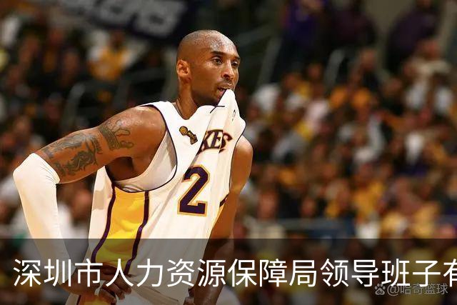 深圳市人力资源保障局领导班子有调整