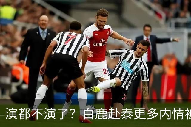 演都不演了？白鹿赴泰更多内情被扒，众星被连带，难怪不取消活动