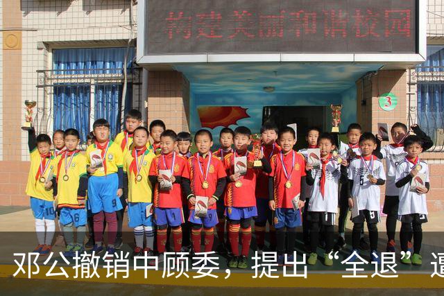 邓公撤销中顾委，提出“全退”遭多人反对，薄一波一句话说服大家！